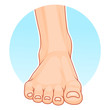 Foot front view illustration
