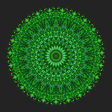 Floral Mandala - Abstract Circular Vector Graphic Design