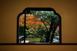 © Zac - 窓越しの紅葉