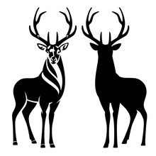 Graceful Deer Stag With Large Antlers Standing And Looking En Face - Black And White Vector Outline And Silhouette