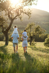 Rear view of family with two small children walking on meadow outdoors at sunset.