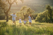 © Halfpoint - Young family with two small children walking on meadow outdoors at sunset.