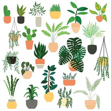 Collection Of Hand Drawn Indoor House Plants On White Background. Collection Of Potted Plants. Colorful Flat Vector Illustration