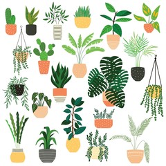 collection of hand drawn indoor house plants on white background. collection of potted plants. color