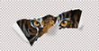 wild hunt with tiger and claw mark illustration. Trigger walking in the shadow illustration