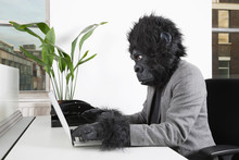 Side View Of Young Man In Gorilla Mask Using Laptop At Office