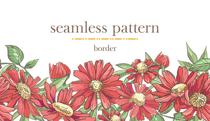 Wall Mural - Seamless border pattern with sketch colorful blossoms. Seamless stripe with hand drawn camomile and leaves.