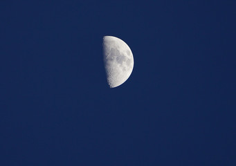 view of the half moon and its craters over a dark blue sky