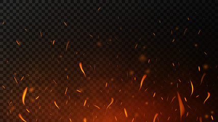 fire sparks on dark transparent background. flying up sparks, burning fire particles with smoke text