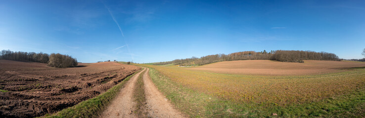 Canvas Print - Panorama of agricultural field at sunny day