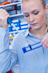 Poster - Female technician in laboratory of genetics - reprogenetics. Young technician use dispenser for pipetting PCR strips