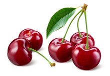 Cherry Isolated. Cherries With Leaves On White Background. Sour Cherries On White. With Clipping Path. Full Depth Of Field.