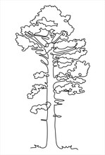 Continuous One Line Drawing Of Nature Tree Vector Illustration
