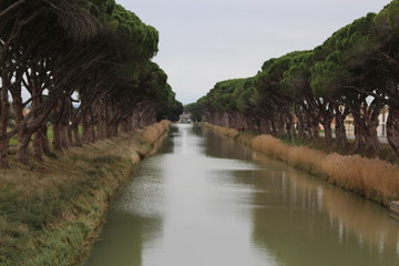 Canvas Print - canal du midi à sallèles d'aude