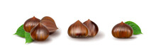 Edible Sweet Chestnuts, Healthy Autumn And Christmas Food