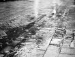 rain on the pavement