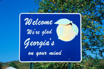 Wall Mural - Welcome to Georgia Sign