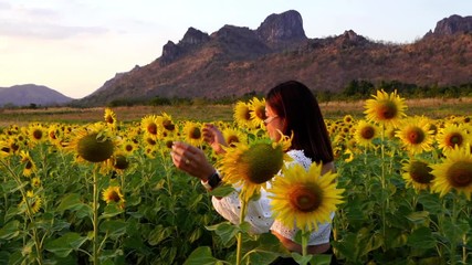 Wall Mural - slow-motion of cheerful woman walking and enjoying with sunflower field at Kao Jeen Lae in Lopburi, Thailand