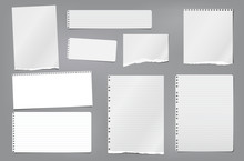 Torn White Blank And Lined Note, Notebook Paper Strips, Pieces And Sheeds Stuck On Dark Grey Background. Vector Illustration