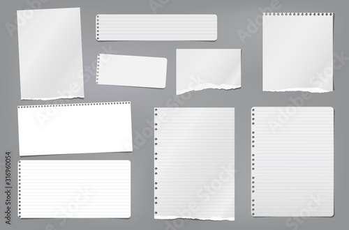 Fotomural Torn white blank and lined note, notebook paper strips, pieces and sheeds stuck on dark grey background