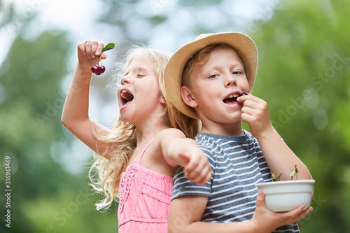 Cuadros en Lienzo Glückliche Kinder essen Kirschen im Garten