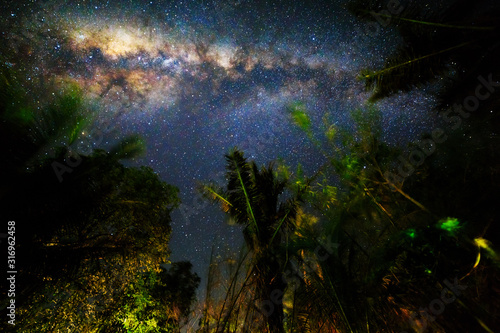 Beautiful landscape with milky way stars in the night sky over the jungle forest of North Sulawesi, Indonesia