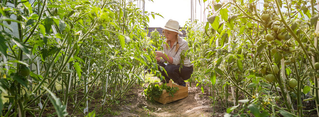 Young girl in a straw hat and garden gloves treats sprinkles of plant bushes in the garden on a summer day, the concept of gardening and farming, generation z hobby