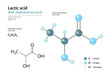 Lactic acid. AHA Alphahydroxy acid. Structural chemical formula and molecule 3d model. Atoms with color coding. Vector illustration
