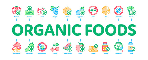 Wall Mural - Organic Eco Foods Minimal Infographic Web Banner Vector. Organic Tomato And Mushrooms, Peach And Grape, Apple And Cherry Concept Illustrations