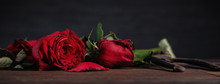 Withered Rose On Dark Gray Background And Wooden Table With Fall Petals And Leaves, Design Concept Of Sad Valentine's Day Romance, Broken Up, Copy,space.