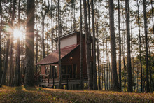 Vacation House In Pine Forest