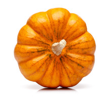 Single Mini Pumpkin Isolated On White