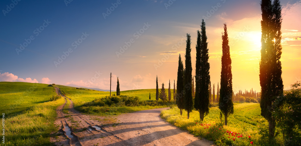 art spring countryside landscape with beautiful farmland and dirt road over sunrise sky - obrazy, fototapety, plakaty 