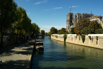 Wall Mural - Seine river at the summer