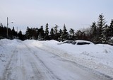Fototapeta Na ścianę - parked vehicles covered heavily in deep snow 