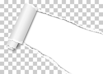 Wall Mural - Vector diagonally torn hole in transparent sheet of paper from lower right corner with curl, soft shadow and white background
