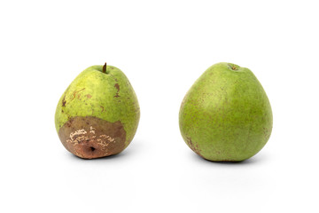 Wall Mural - Rotten pear isolated on white background.