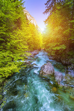 Beautiful Colorful Summer Landscape With A Stream And Forest. The River In Summer Forest And The Sun Shining Through The Foliage. Summer Nature Landscape. Bohinj, Slovenia