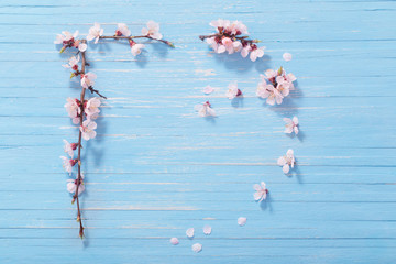 Wall Mural - pink cherry flowers on wooden background