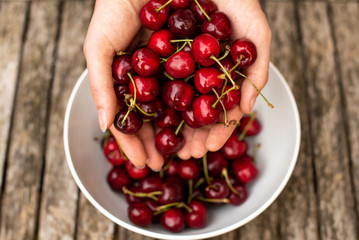 Fresh cherries