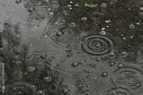 Cuadros en Lienzo background puddle rain / circles and drops in a puddle, texture with bubbles in