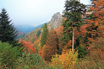 Wall Mural - La montagne aux couleurs de l'automne