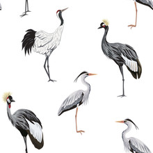 Tropical Vintage Botanical Crane,heron Bird Seamless Pattern White Background. Exotic Animal Wallpaper.