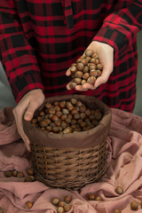 Wall Mural - fresh hazelnuts in the wooden box concept.