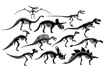 Set Of Different Dinosaur Skeletons Silhouettes Isolated