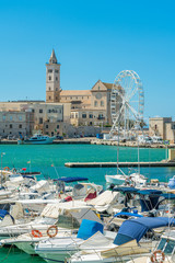 Poster - Trani waterfront with the beautiful Cathedral. Province of Barletta Andria Trani, Apulia (Puglia), southern Italy.