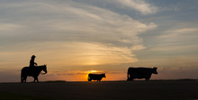 Silhouette Of Cowboy And Cattle Statues At Sunset