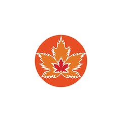 Wall Mural - Vector illustration of autumn red and orange maple leaves with white background