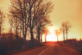 Fototapeta Zachód słońca - Highway in the early autumn morning. Silhouette of trees against a golden sky