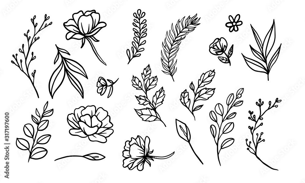 set of hand drawn leaf vector illustration, flower lineart isolated graphic elements for your design, floral lineart for classic design - obrazy, fototapety, plakaty 